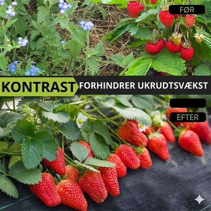 Biologisk nedbrydelig ukrudtsdug