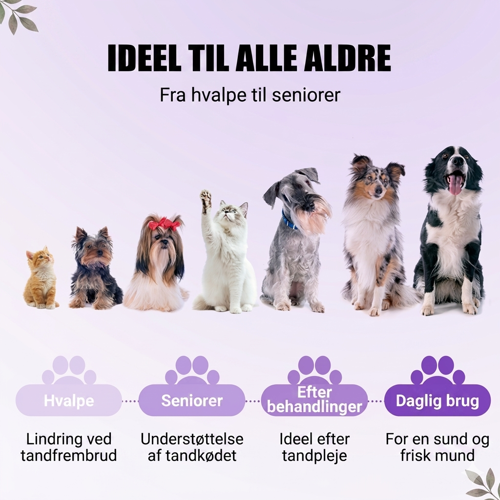 Mundplejegel til kæledyr