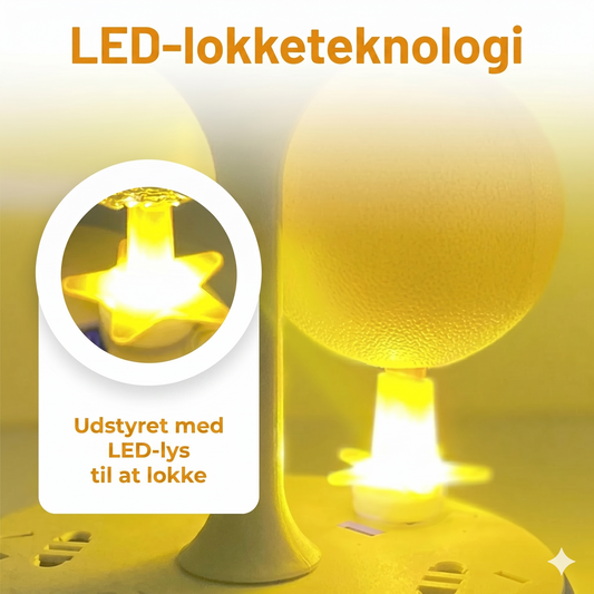 Klæbrig frugtfluefælde-bold med stativ og LED