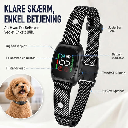 Smart anti-gø halsbånd til hunde