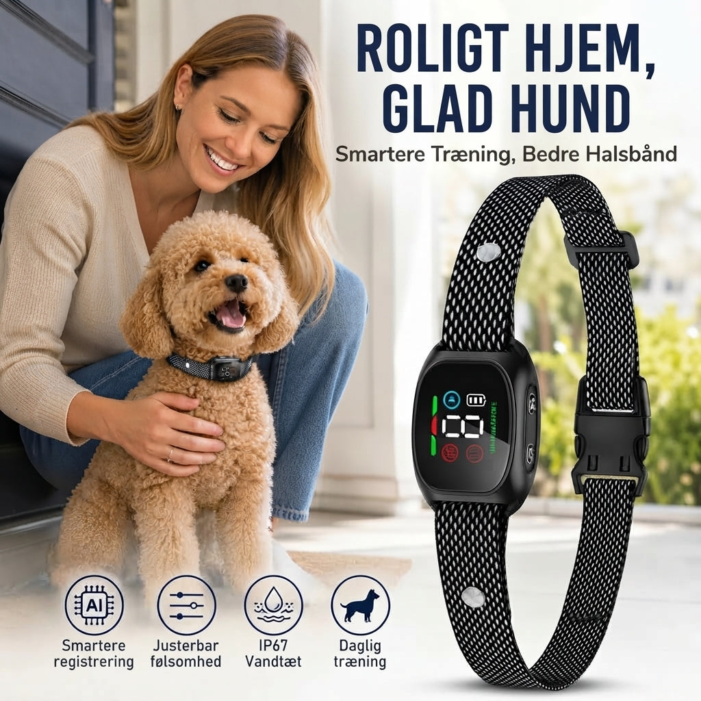 Smart anti-gø halsbånd til hunde