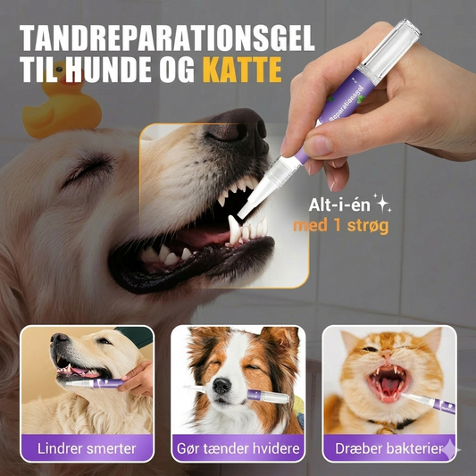 Mundplejegel til kæledyr
