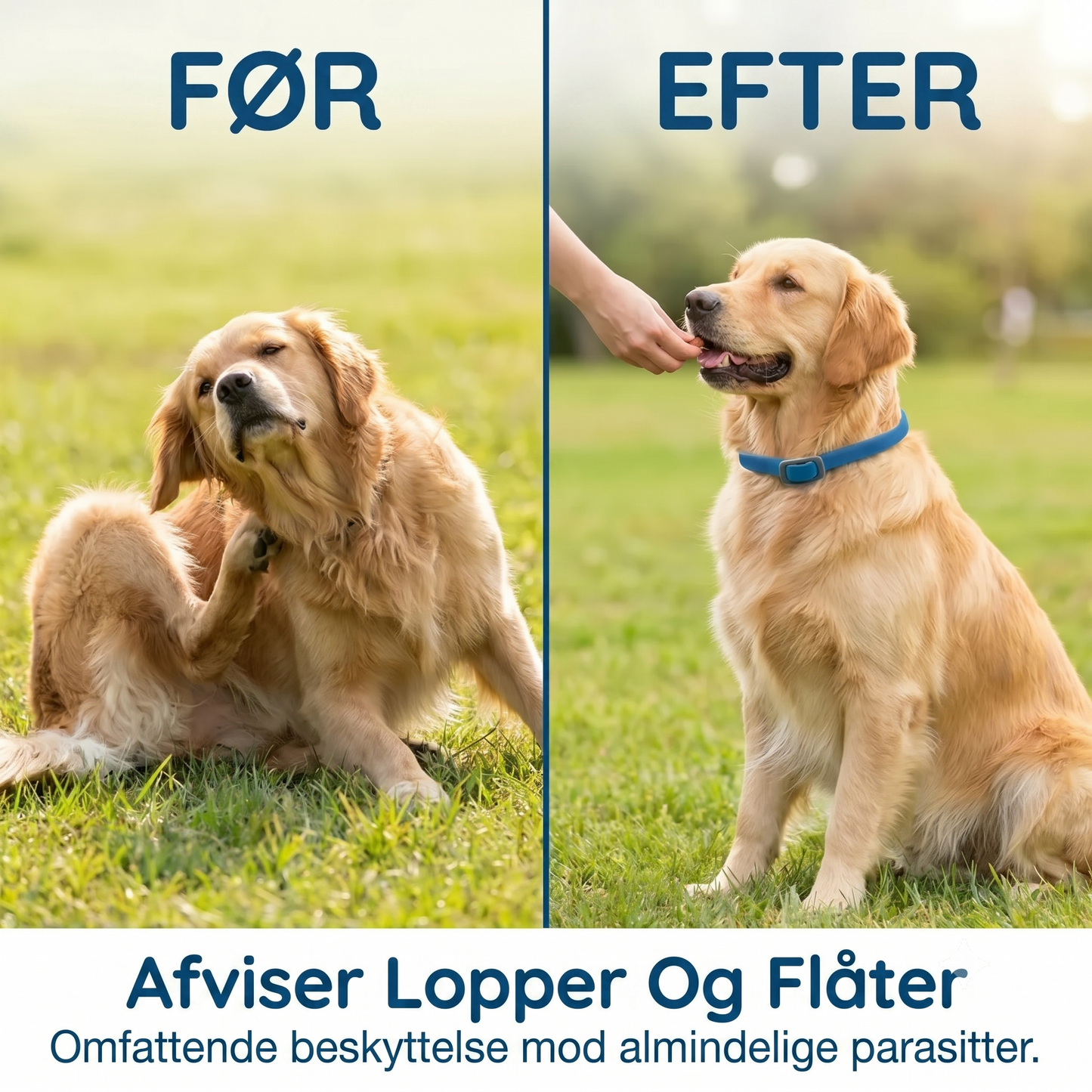 Loppe- og flåthalsbånd til kæledyr