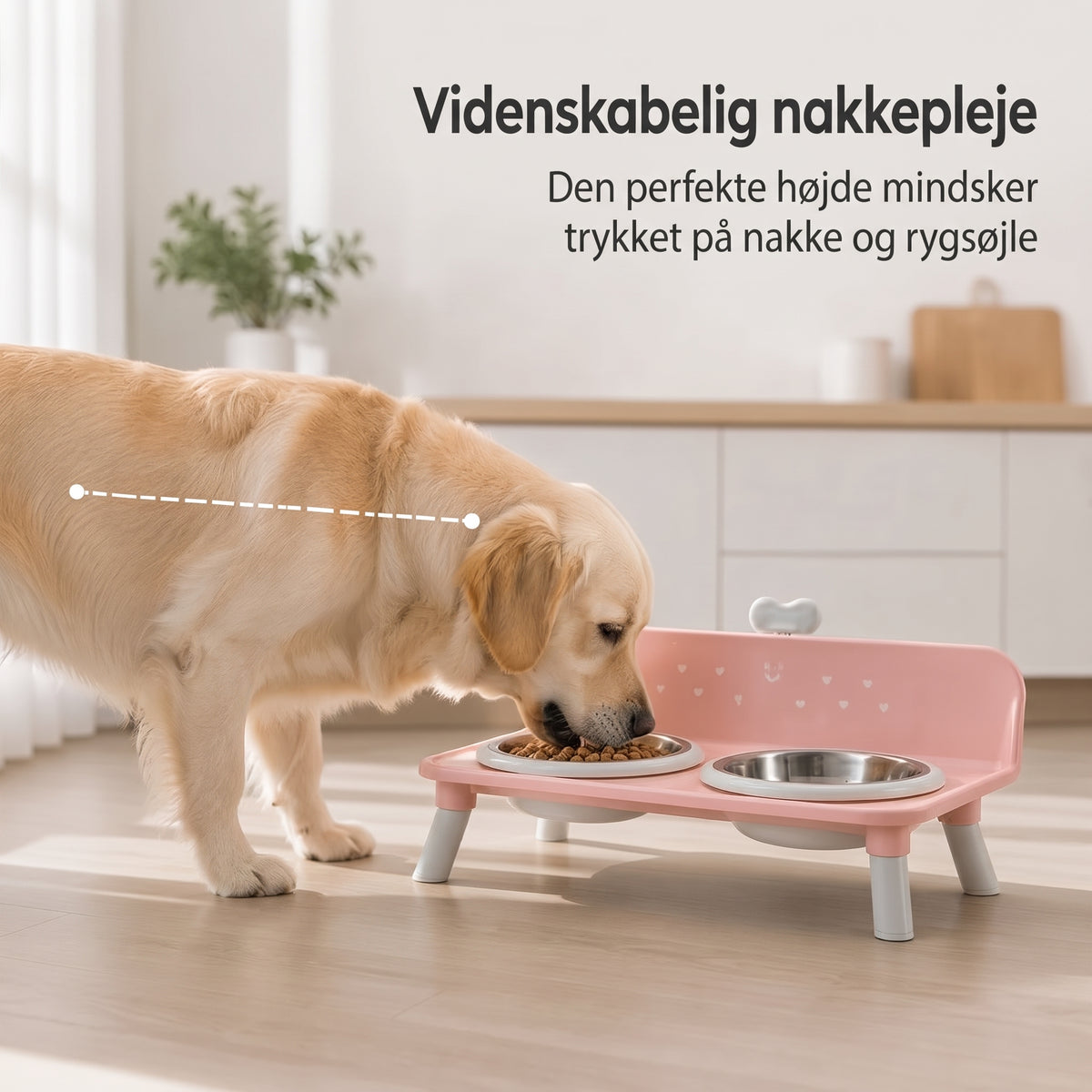 Hævet dobbelt foderskål til katte og hunde med skåle i rustfrit stål