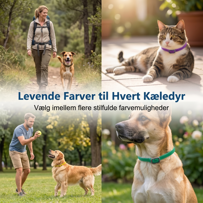 Loppe- og flåthalsbånd til kæledyr