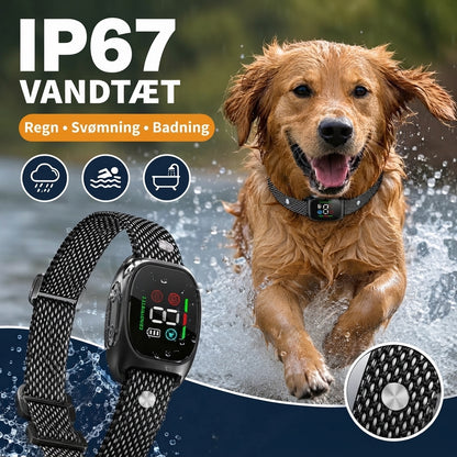 Smart anti-gø halsbånd til hunde