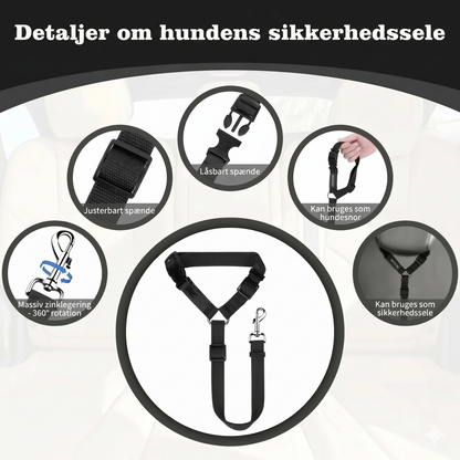 2-i-1 hundesikkerhedssele og hundesnor