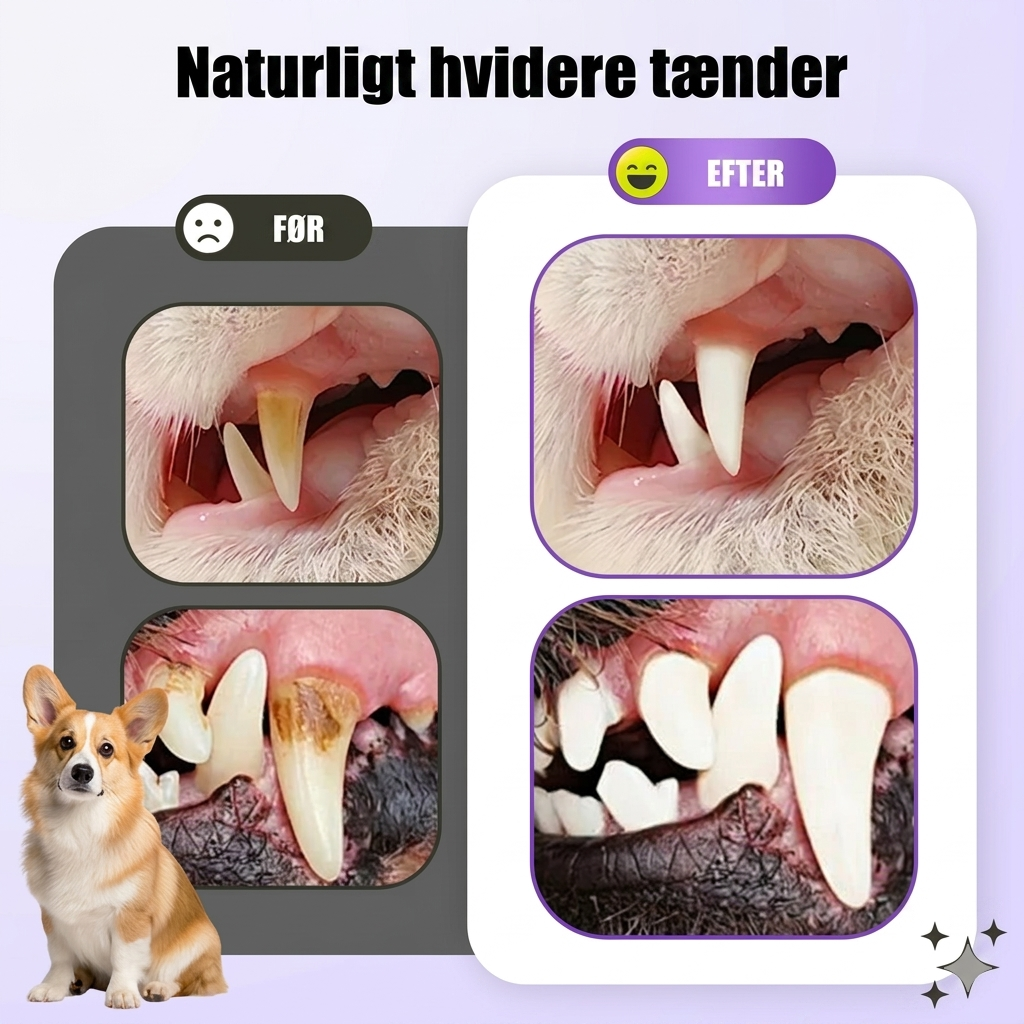 Mundplejegel til kæledyr