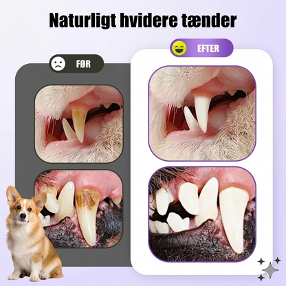 Mundplejegel til kæledyr