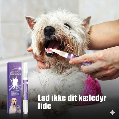Mundplejegel til kæledyr