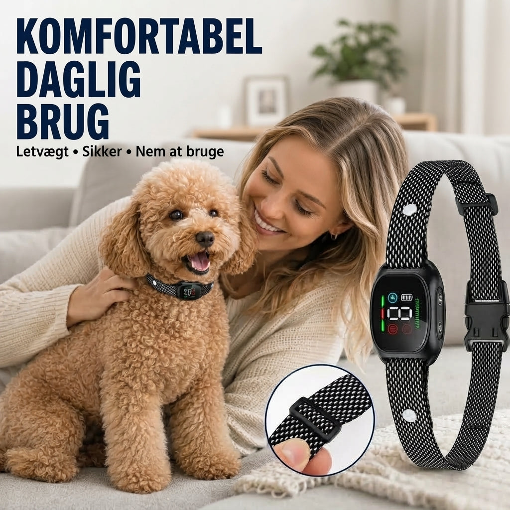 Smart anti-gø halsbånd til hunde