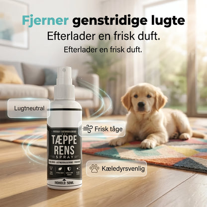 Pletfjerner til tæpper og polstring uden skrubning