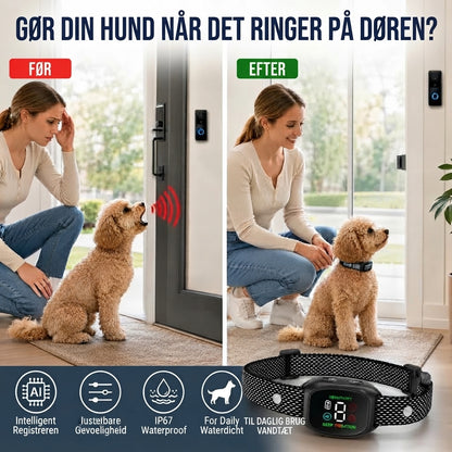 Smart anti-gø halsbånd til hunde