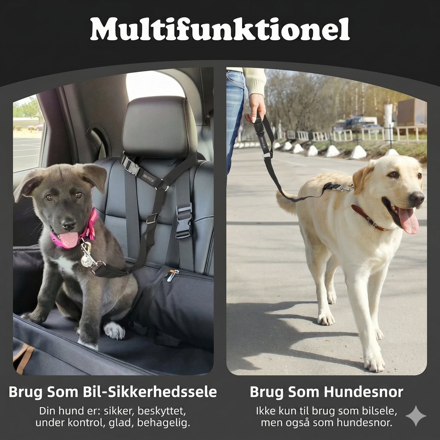 2-i-1 hundesikkerhedssele og hundesnor