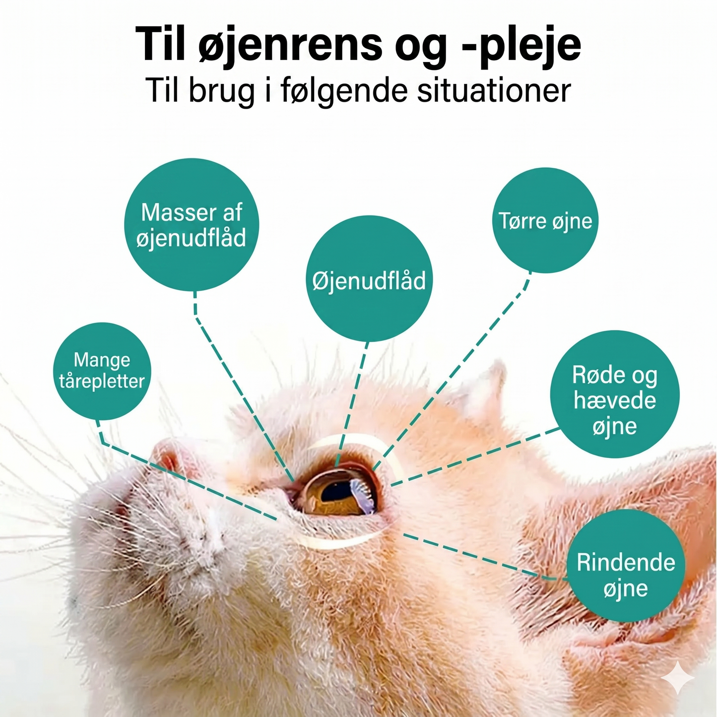 Mild øjenskyl til hunde og katte