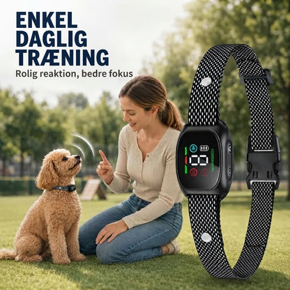 Smart anti-gø halsbånd til hunde