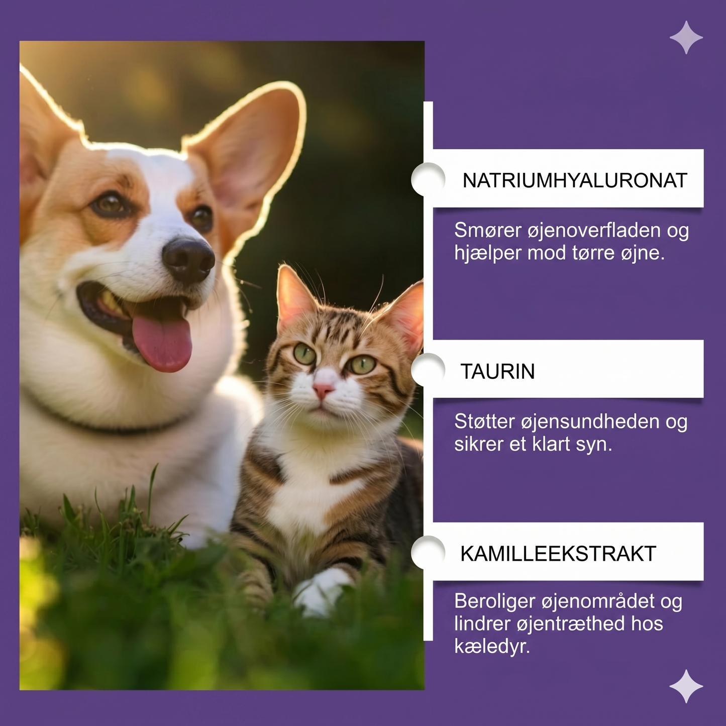 Mild øjenskyl til hunde og katte