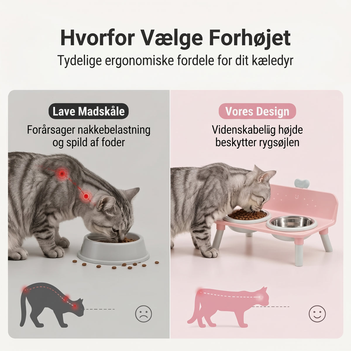 Hævet dobbelt foderskål til katte og hunde med skåle i rustfrit stål