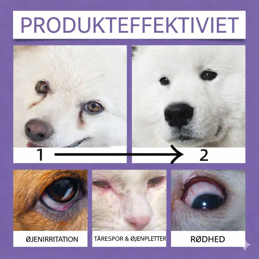 Mild øjenskyl til hunde og katte