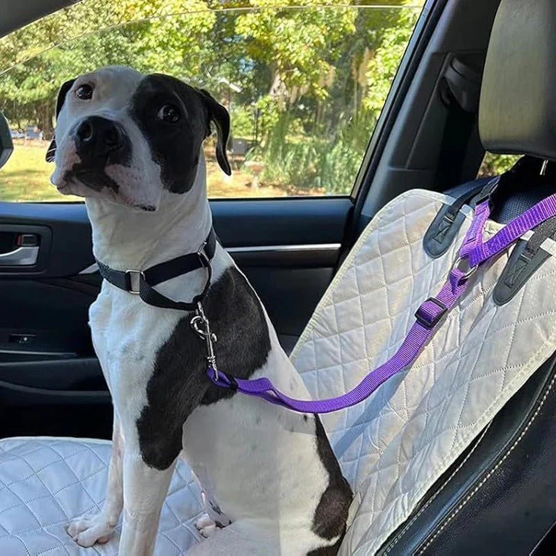 2-i-1 hundesikkerhedssele og hundesnor