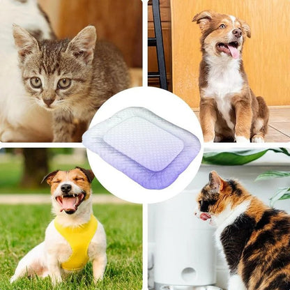 Issilke-kølemåtte til hund og kat
