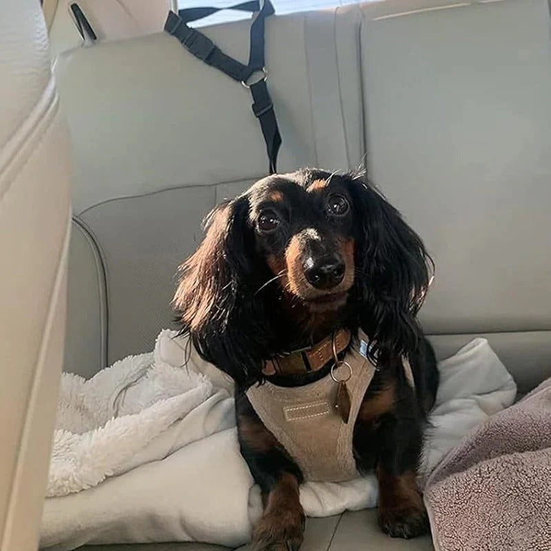 2-i-1 hundesikkerhedssele og hundesnor