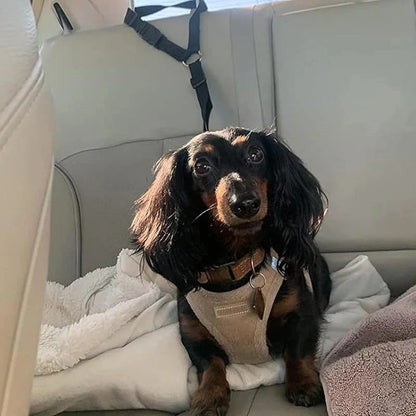 2-i-1 hundesikkerhedssele og hundesnor