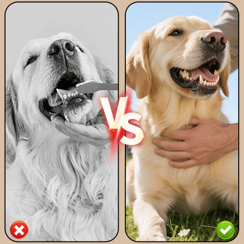 Tandstensfjerner-spray til hunde & katte